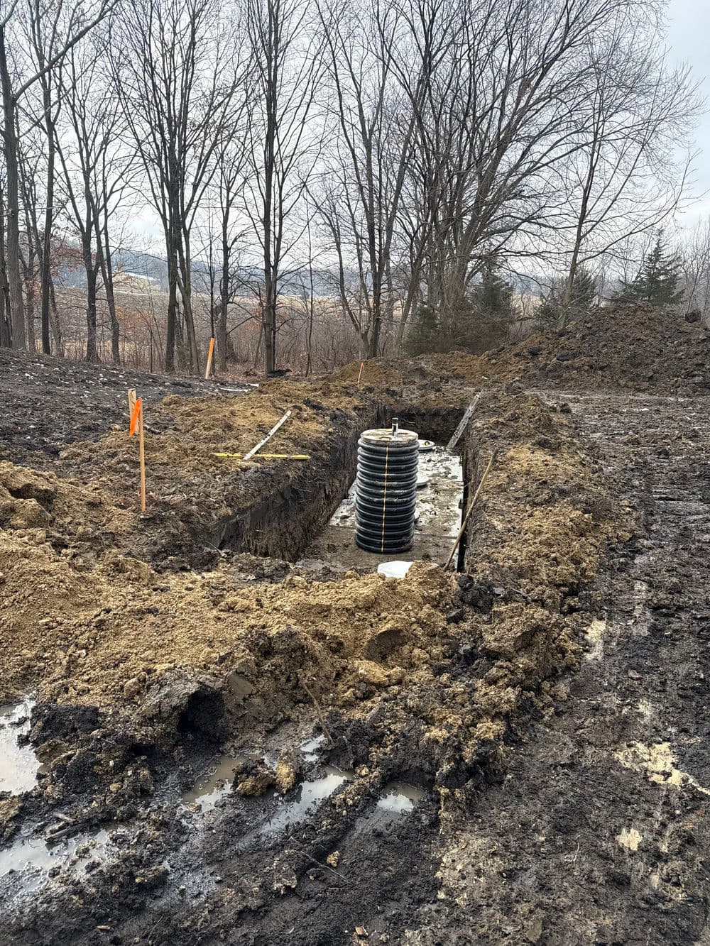 Septic Tank Removal & Abandonment image